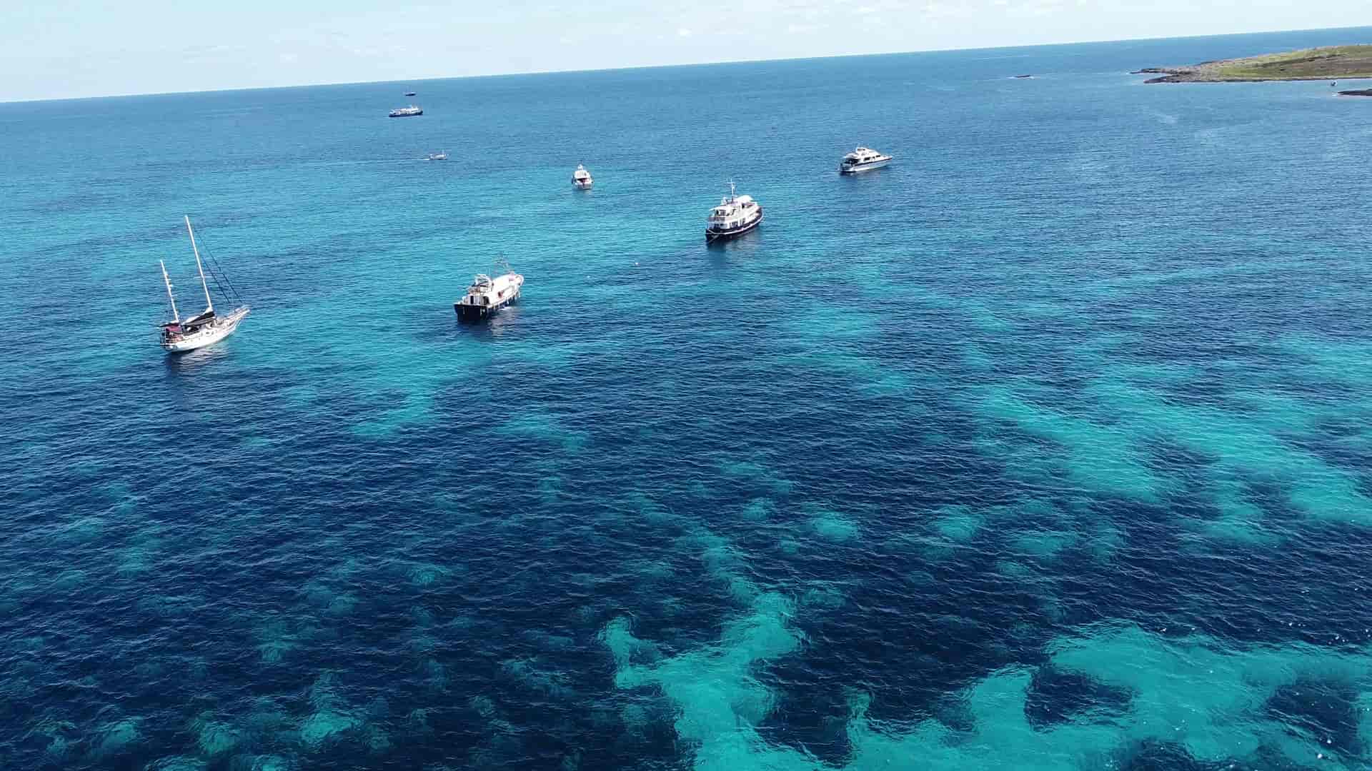 کاروان دریایی کمک به غزه 5